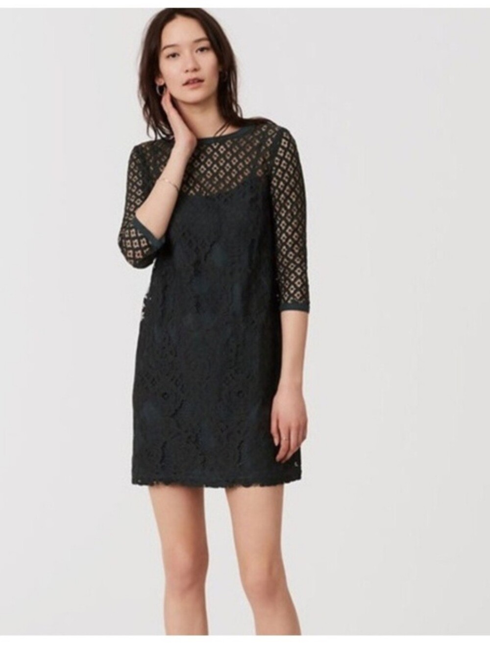 Ann Taylor Loft Green Diamond Lace Shift Dress Size 12